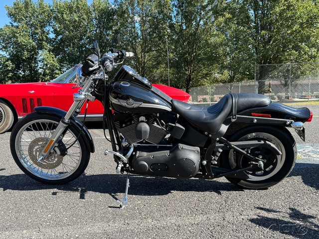 Softail® Night Train®