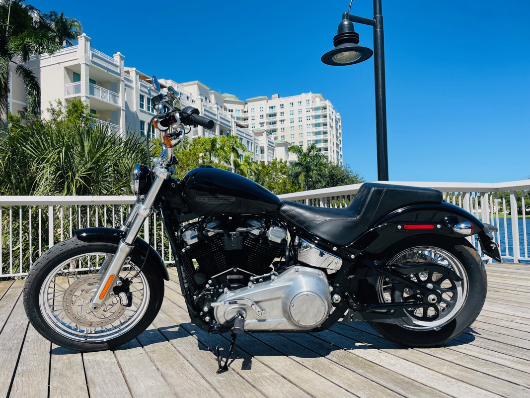 Softail® Standard