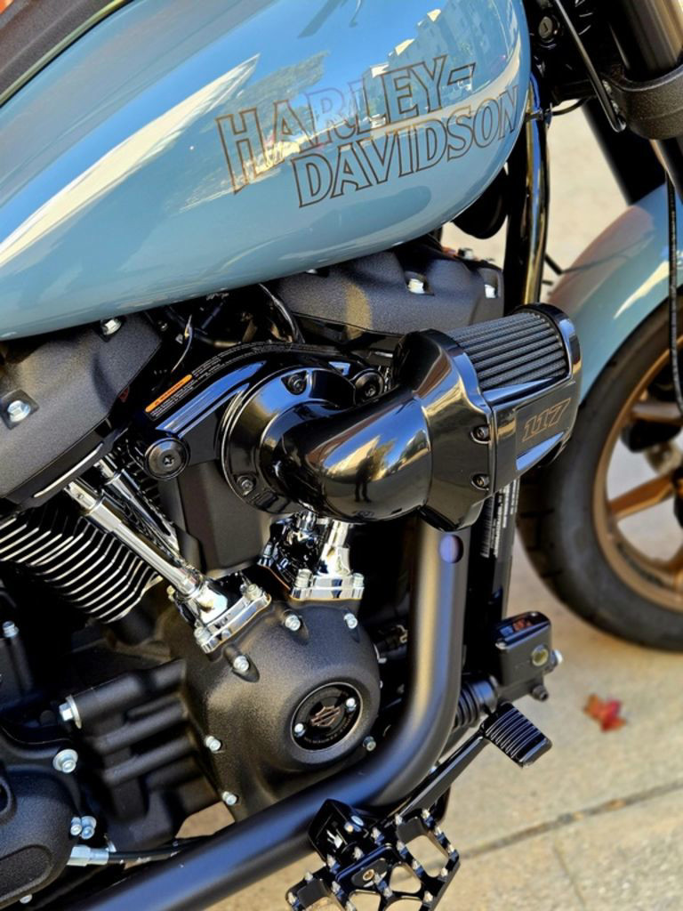 Low Rider® S