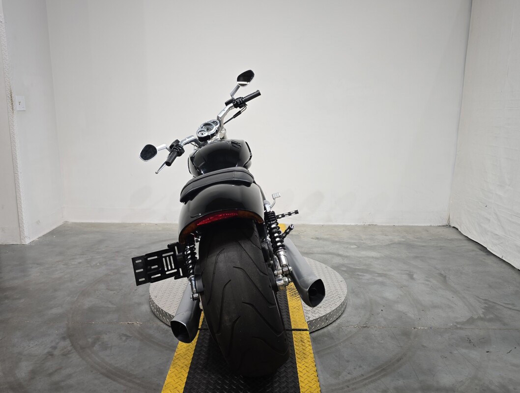 V-Rod® Muscle