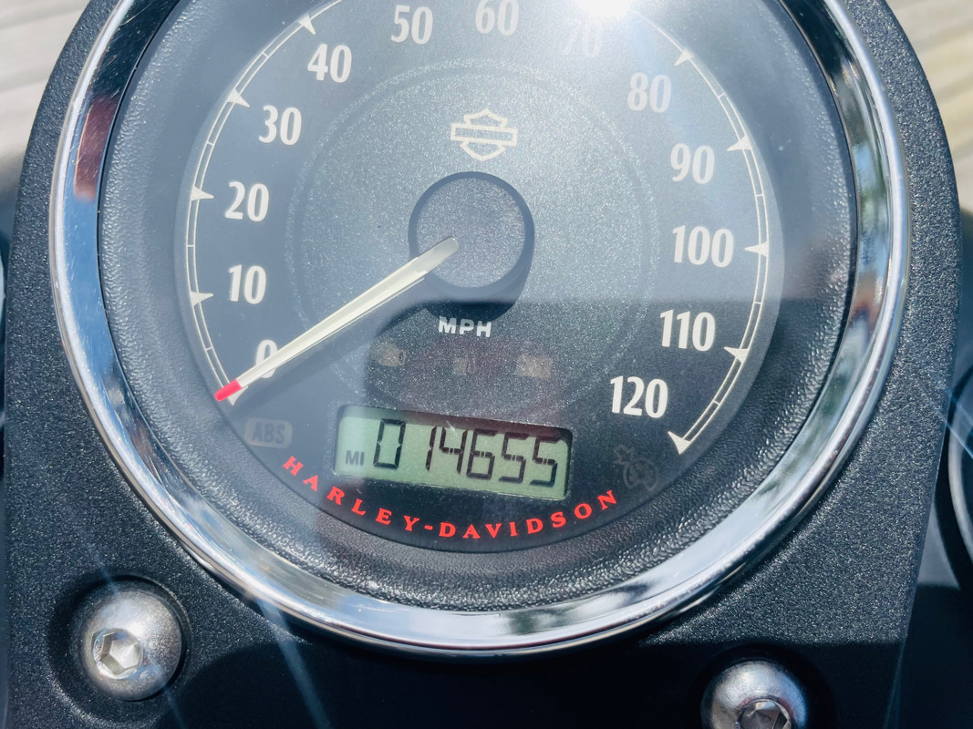 Dyna® Street Bob®