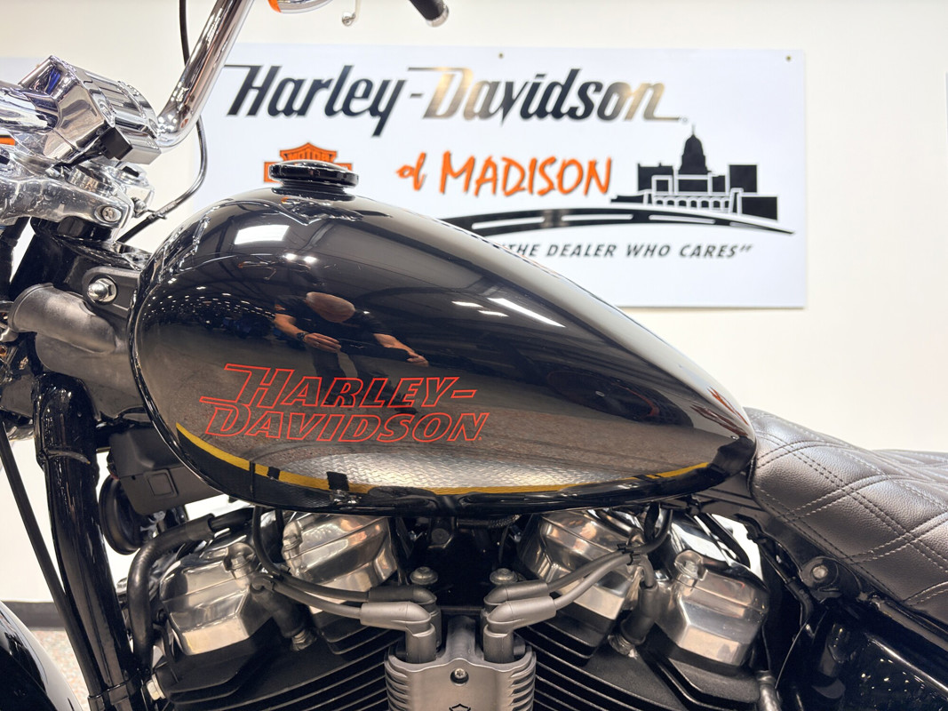 Softail® Standard