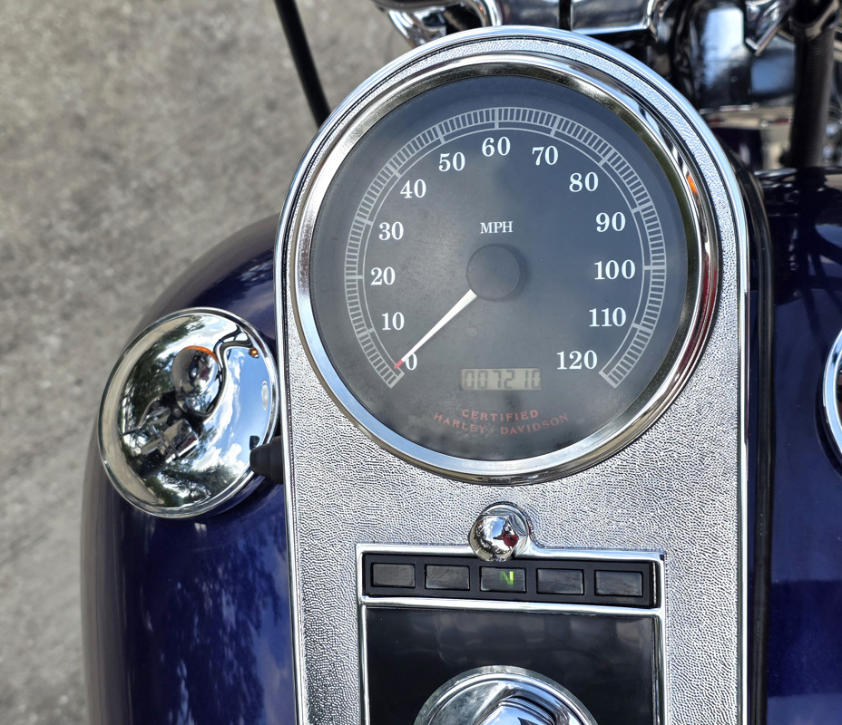 Springer® Softail®