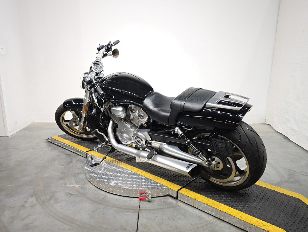 V-Rod® Muscle