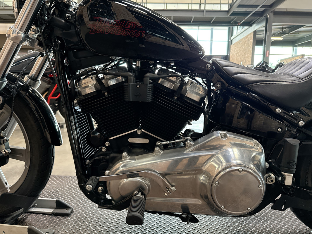 Softail® Standard