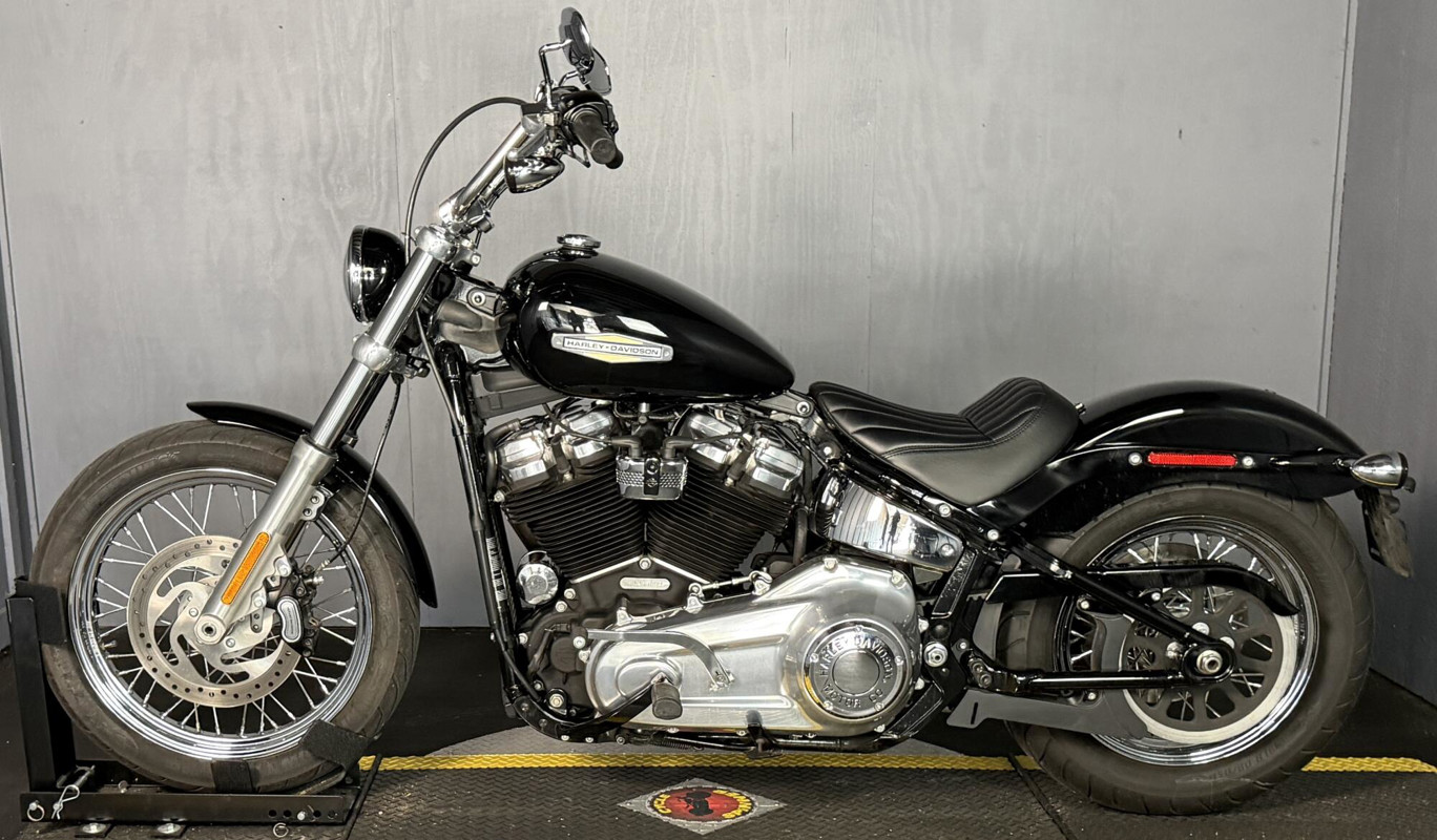 Softail® Standard