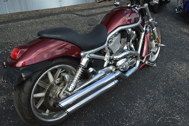 V-Rod®