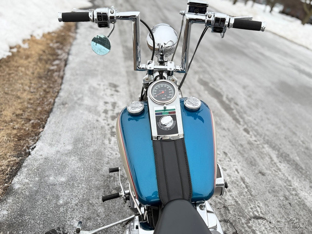 Springer® Softail®