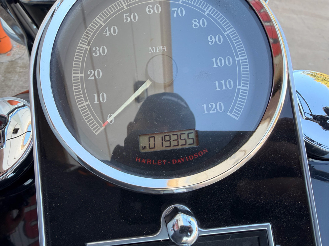 Softail® Fat Boy® Lo