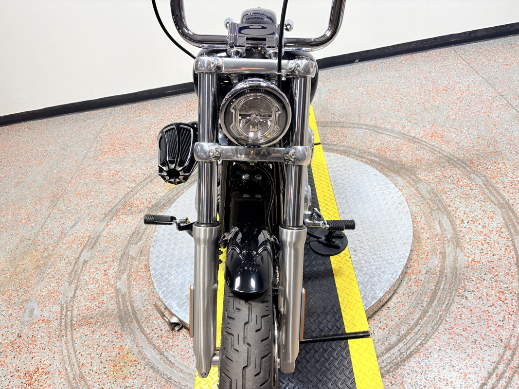 Softail® Standard