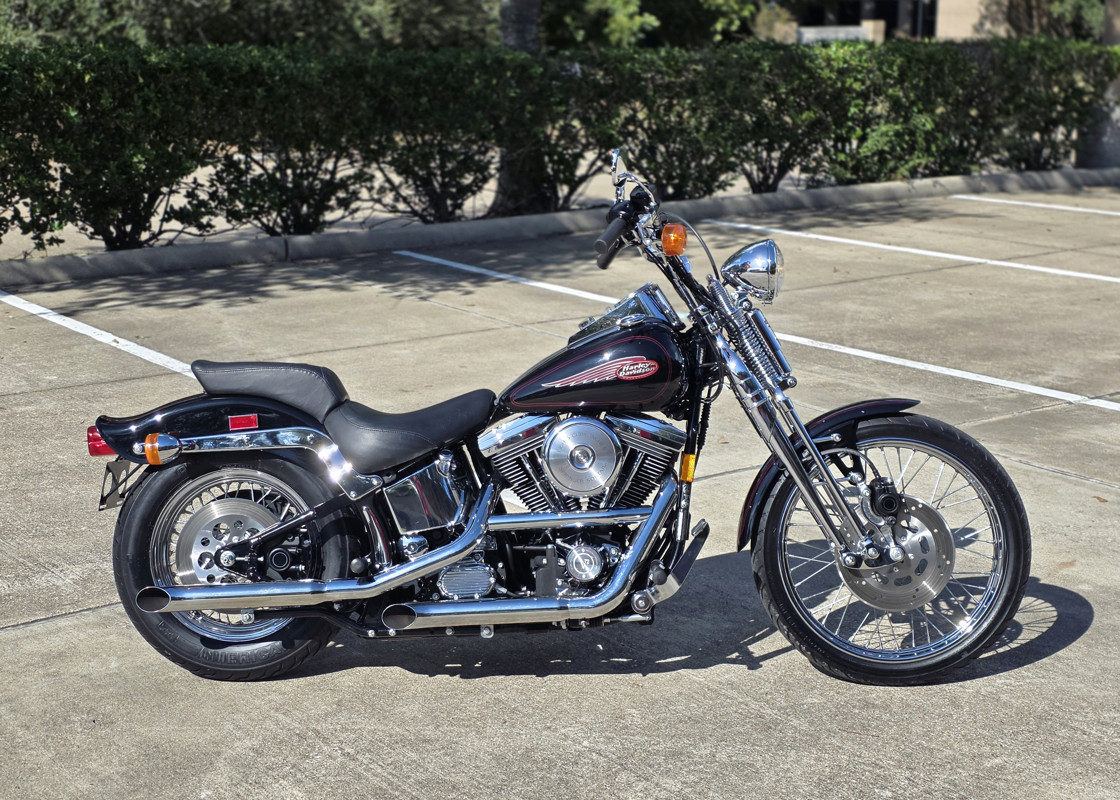 Springer® Softail®