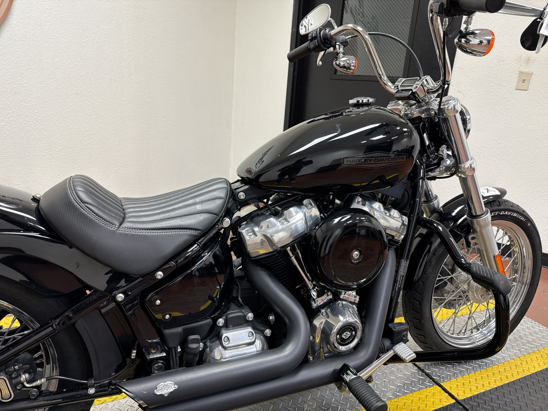 Softail® Standard