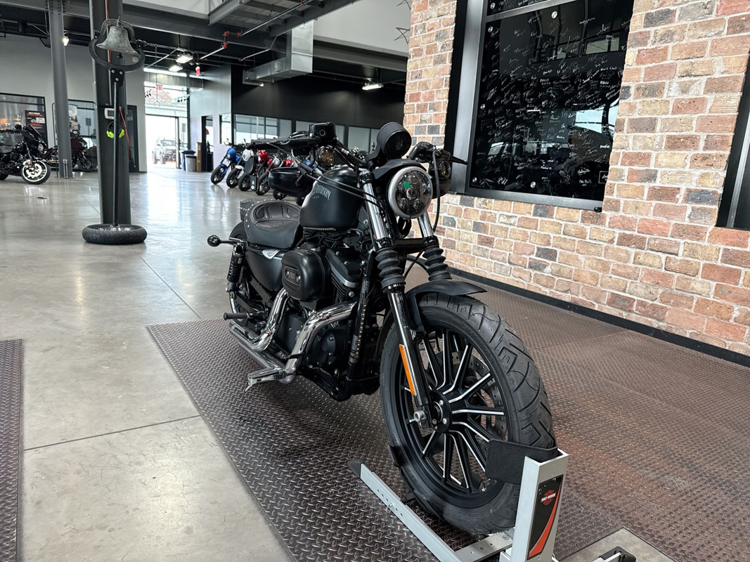 Sportster® Iron 883®