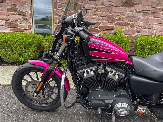 Sportster® Iron 883®