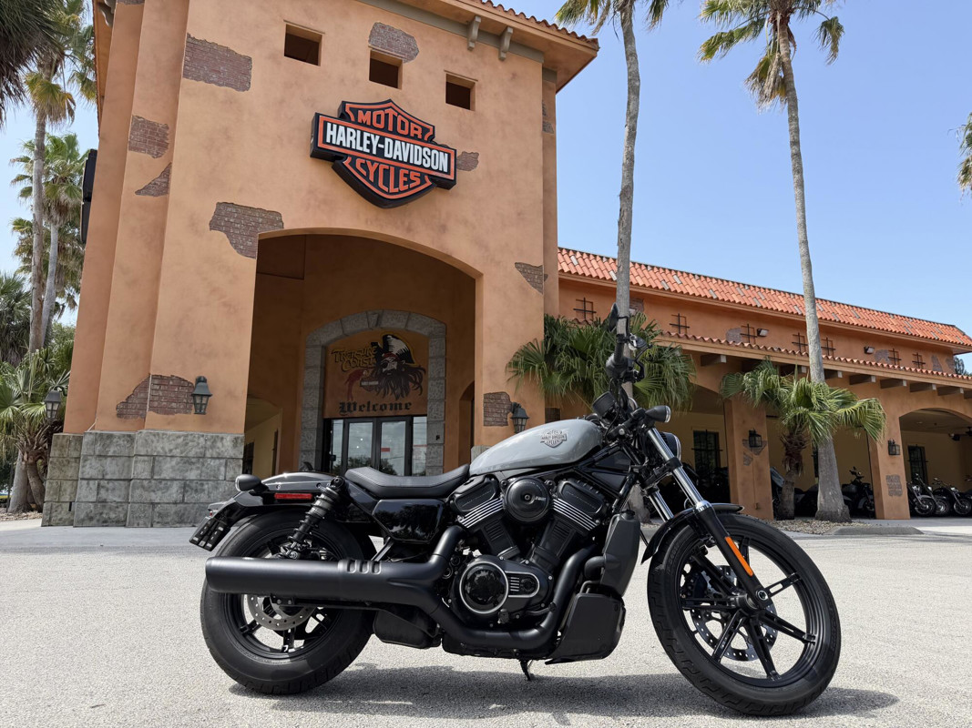 Nightster