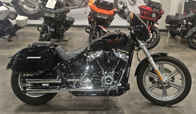 Softail® Standard
