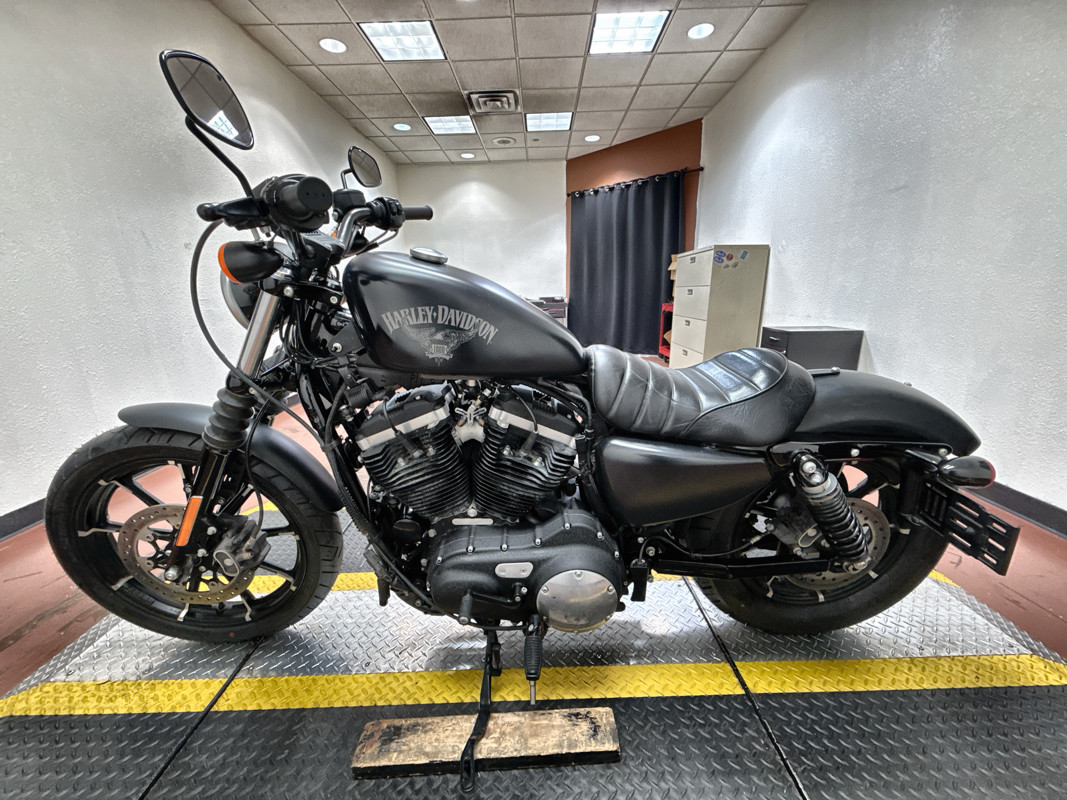 Sportster® Iron 883®