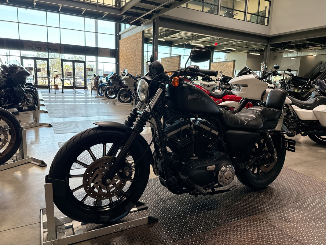 Sportster® Iron 883®