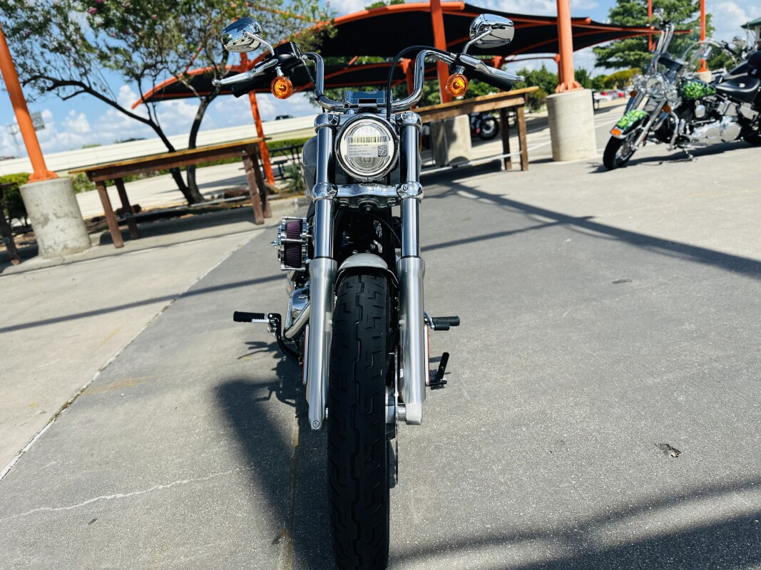 Softail® Standard