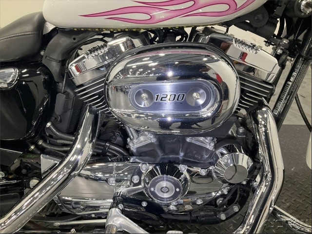Sportster® 1200 Custom