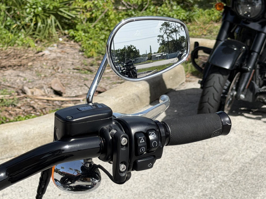 Softail® Standard