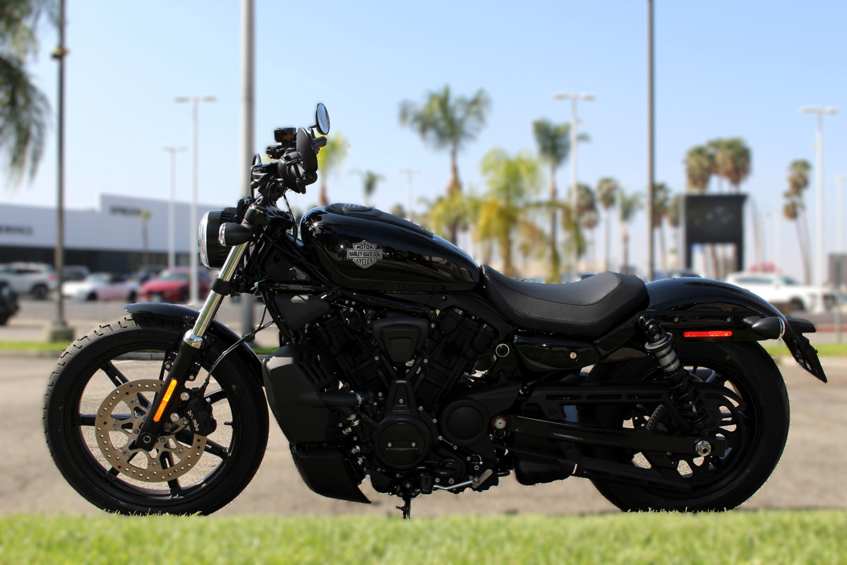 Nightster