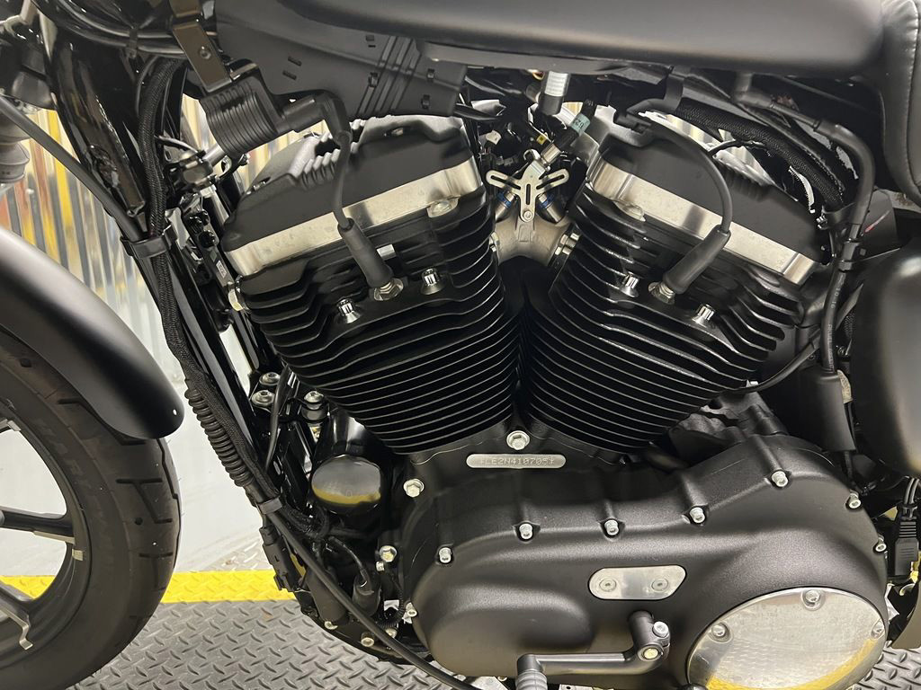 Iron 883®