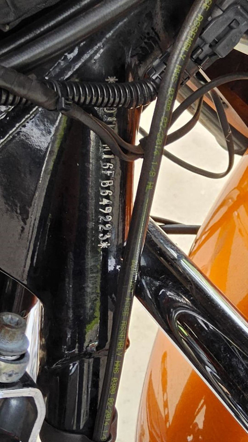 Street Glide® Special