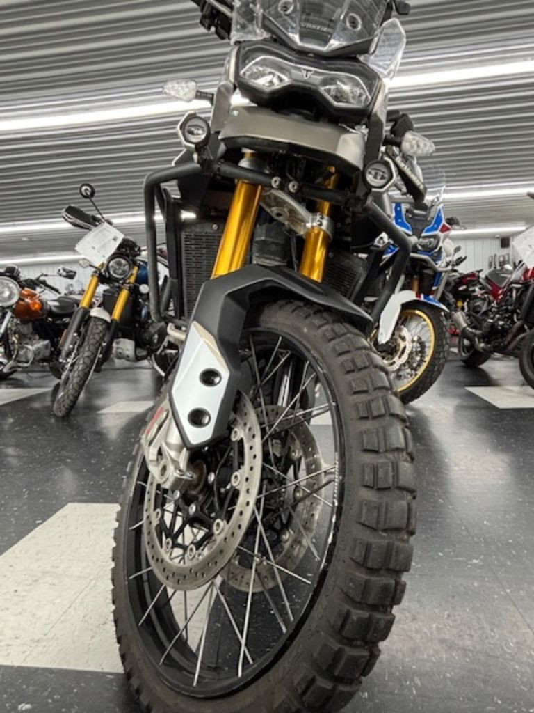 Tiger 900 Rally