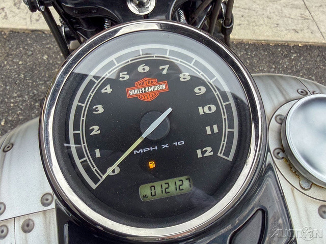 Softail® Cross Bones®