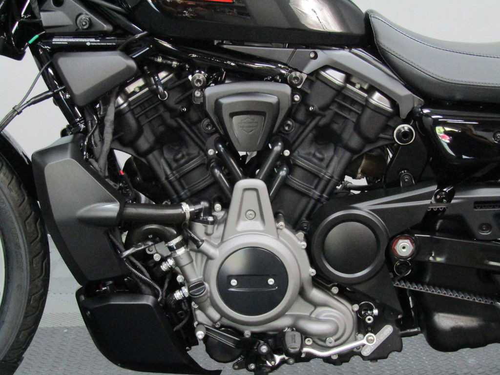 Nightster Special