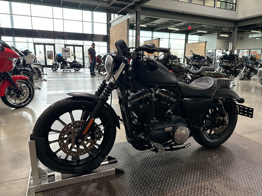 Sportster® Iron 883®