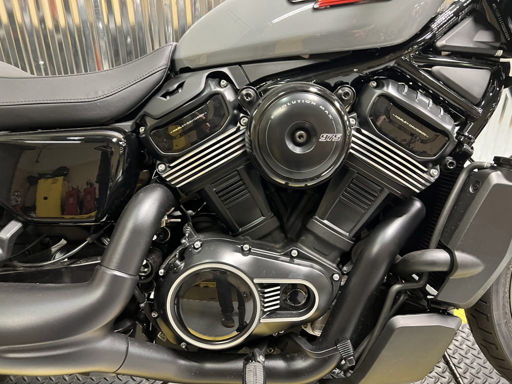 Nightster