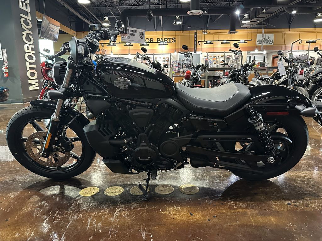 Nightster