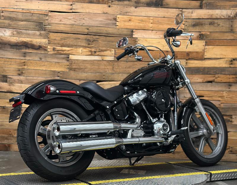 Softail® Standard