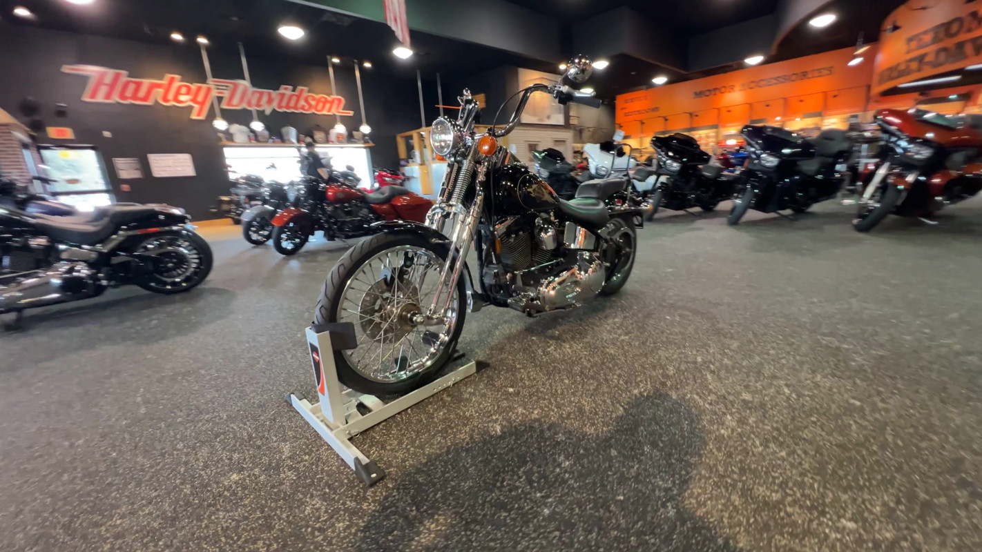Springer® Softail®