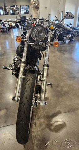 Softail® Night Train®