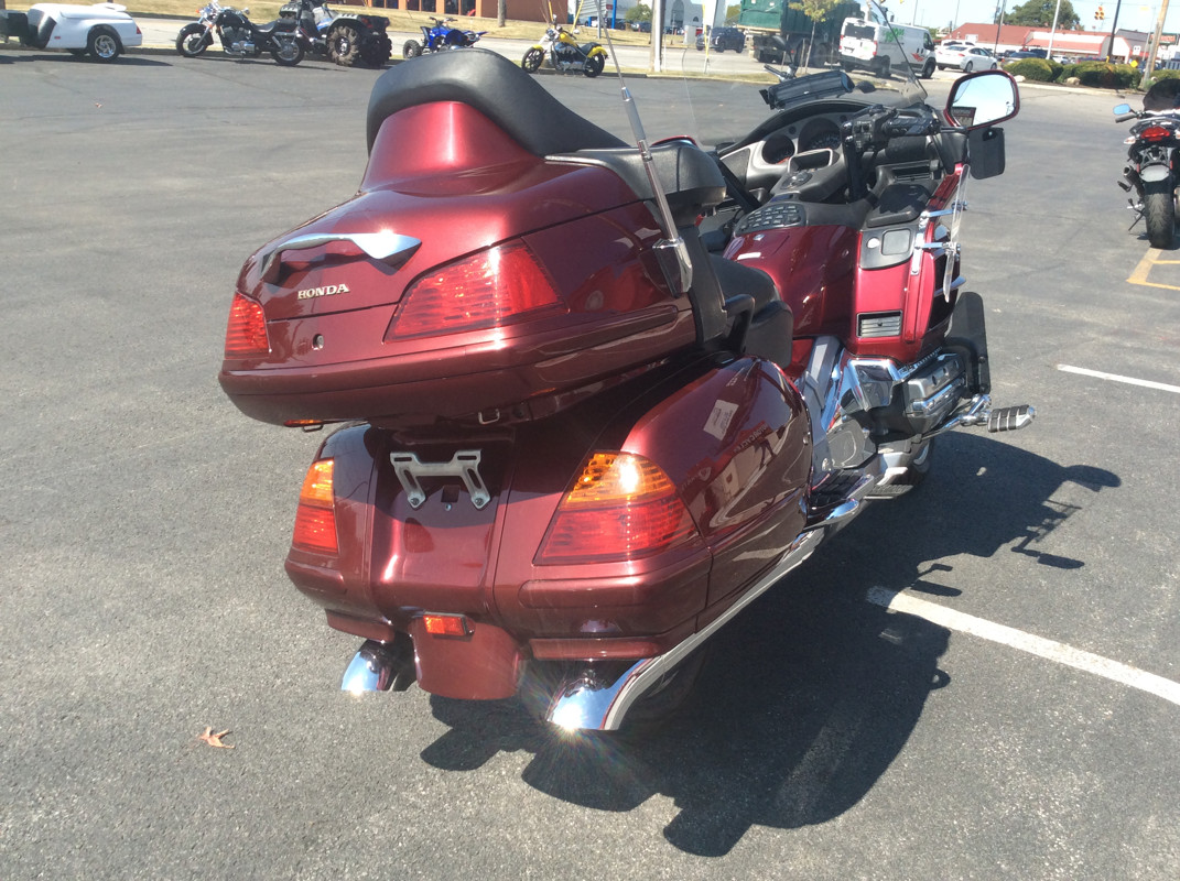 Gold Wing