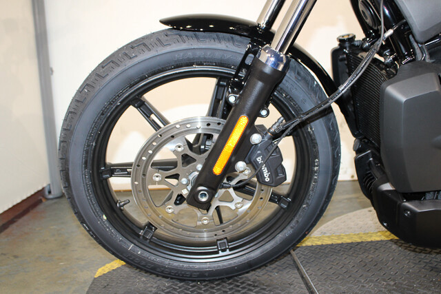 Nightster