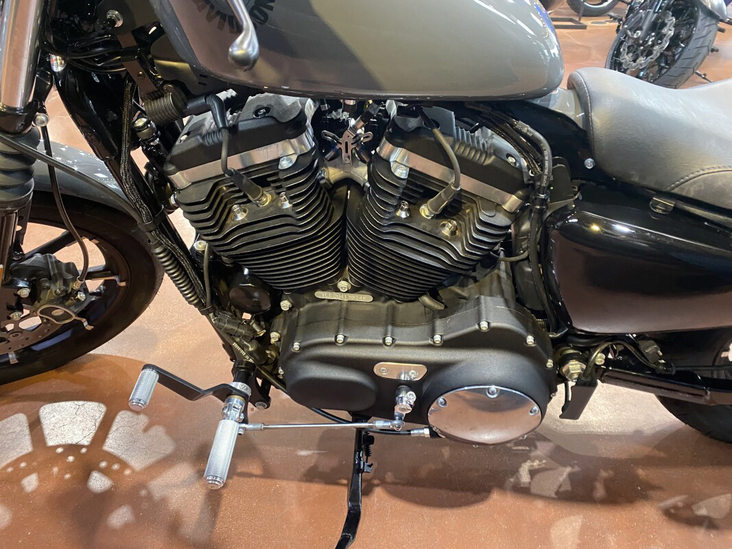 Iron 883®