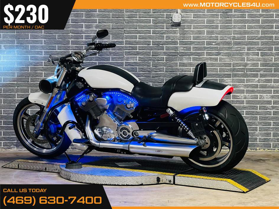 V-Rod® Muscle
