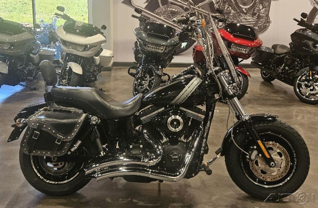 Dyna® Fat Bob®