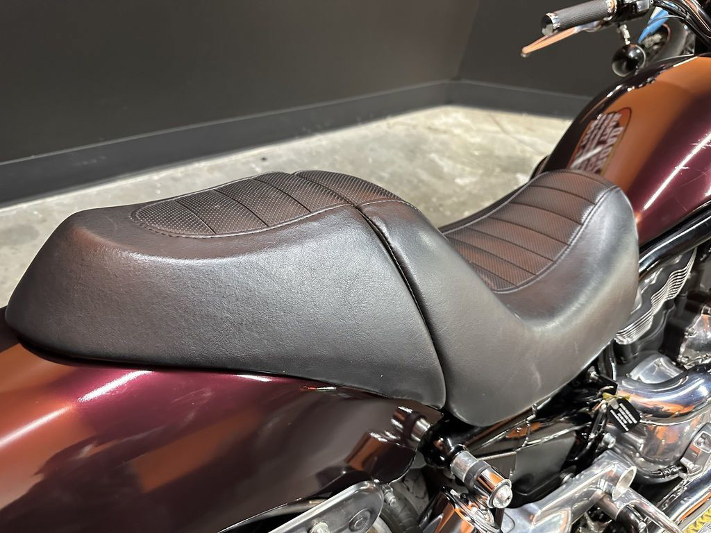 V-Rod® Night Rod®