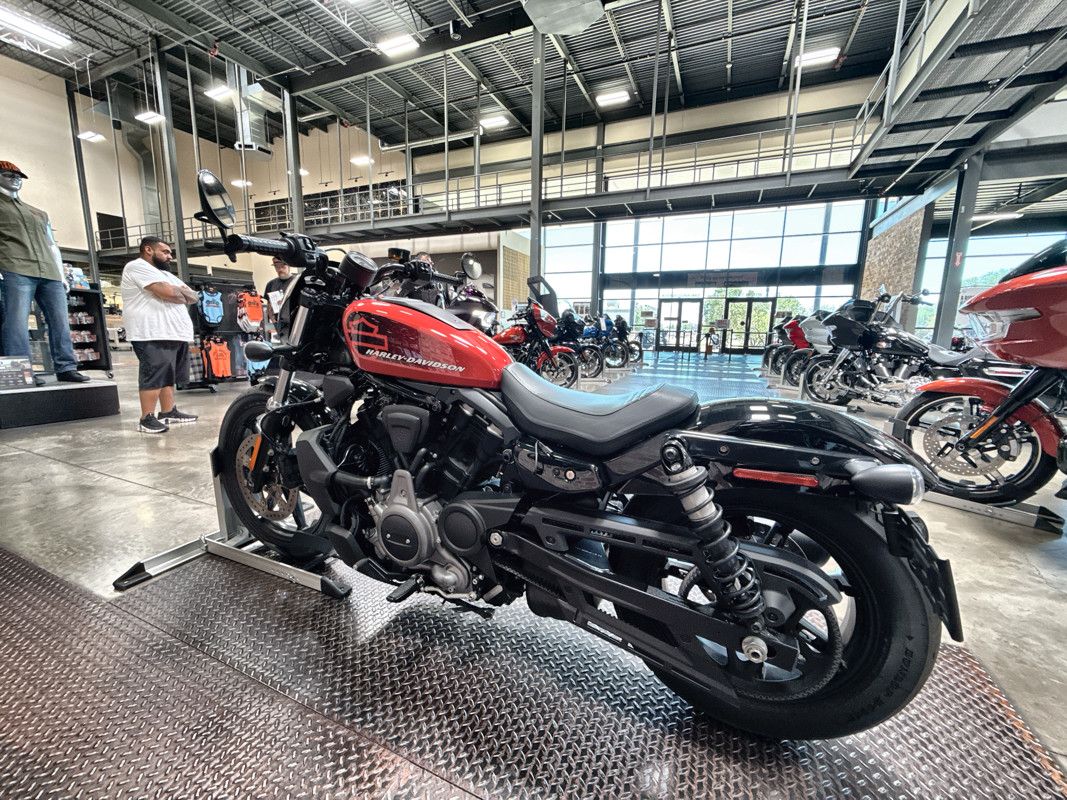 Nightster