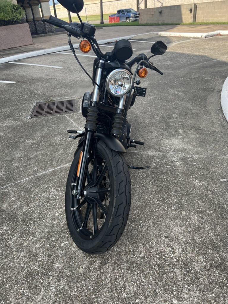 Iron 883®