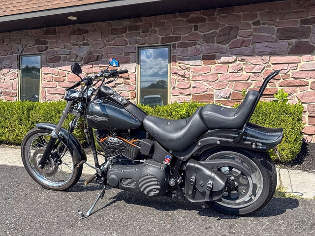 Softail® Night Train®