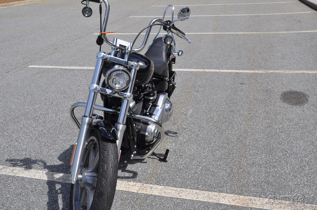 Softail® Standard
