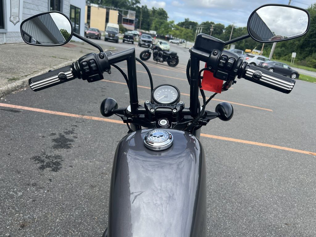 Sportster® Forty-Eight®