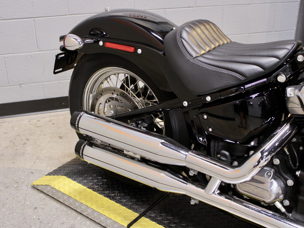 Softail® Standard