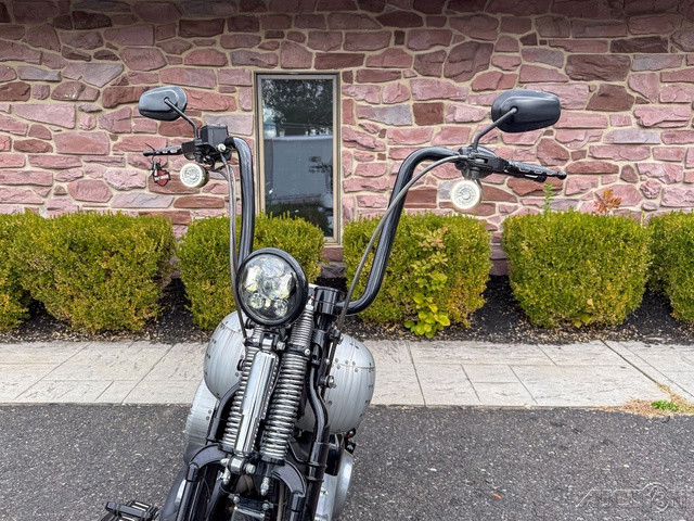 Softail® Cross Bones®